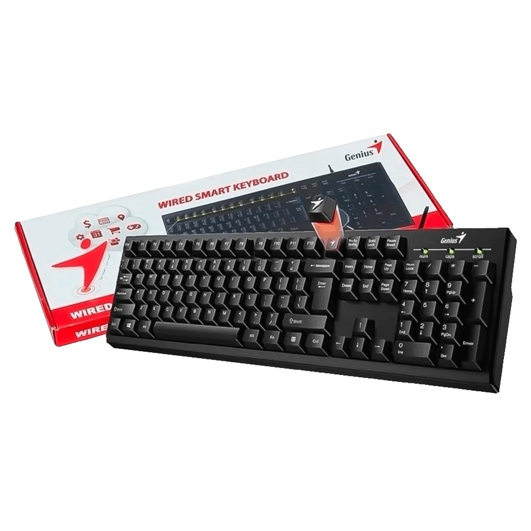 TECLADO GENIUS KB-100 INTERFAZ USB